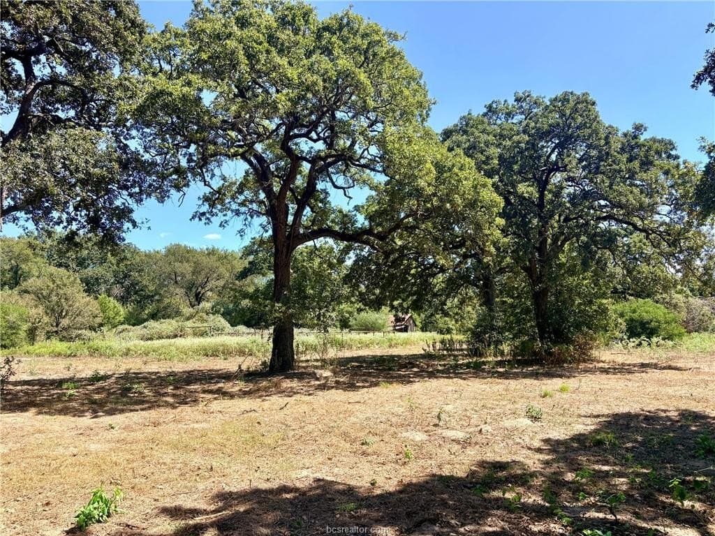 16.58 acres in Robertson County - photo 5