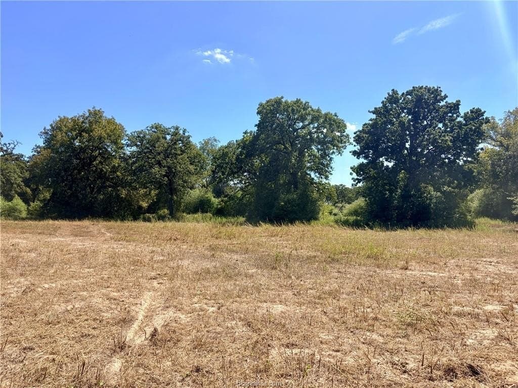 16.58 acres in Robertson County - photo 11
