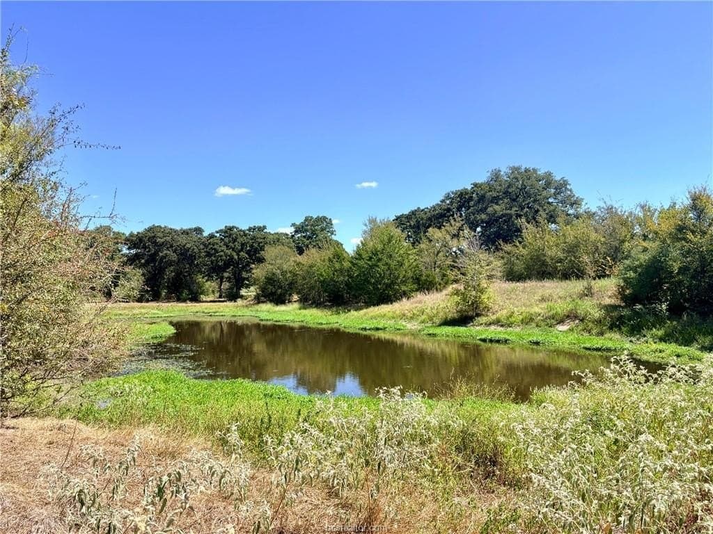 16.58 acres in Robertson County - photo 14