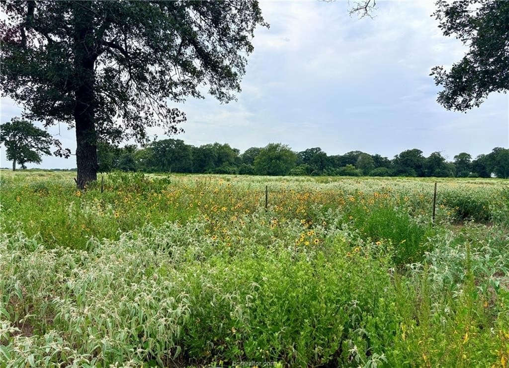 16.58 acres in Robertson County - photo 2