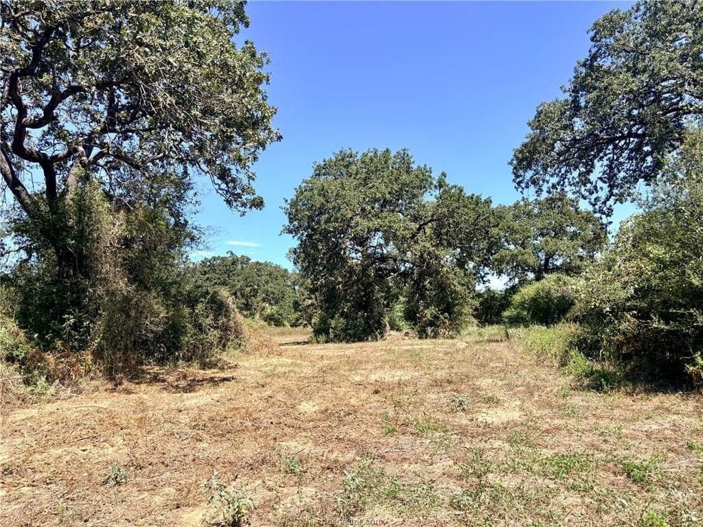 16.58 acres in Robertson County - photo 8