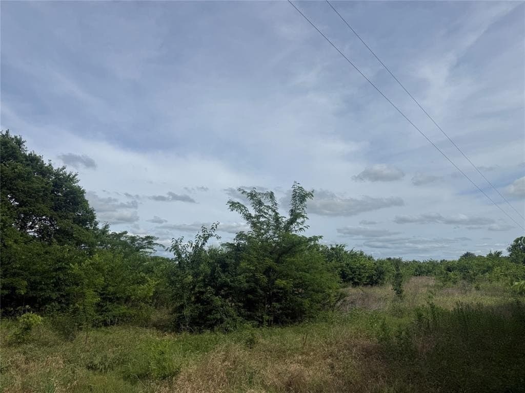41.58 acres in Lamar County gallery image 2