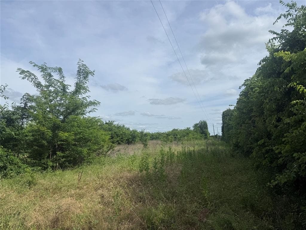 41.58 acres in Lamar County gallery image 3