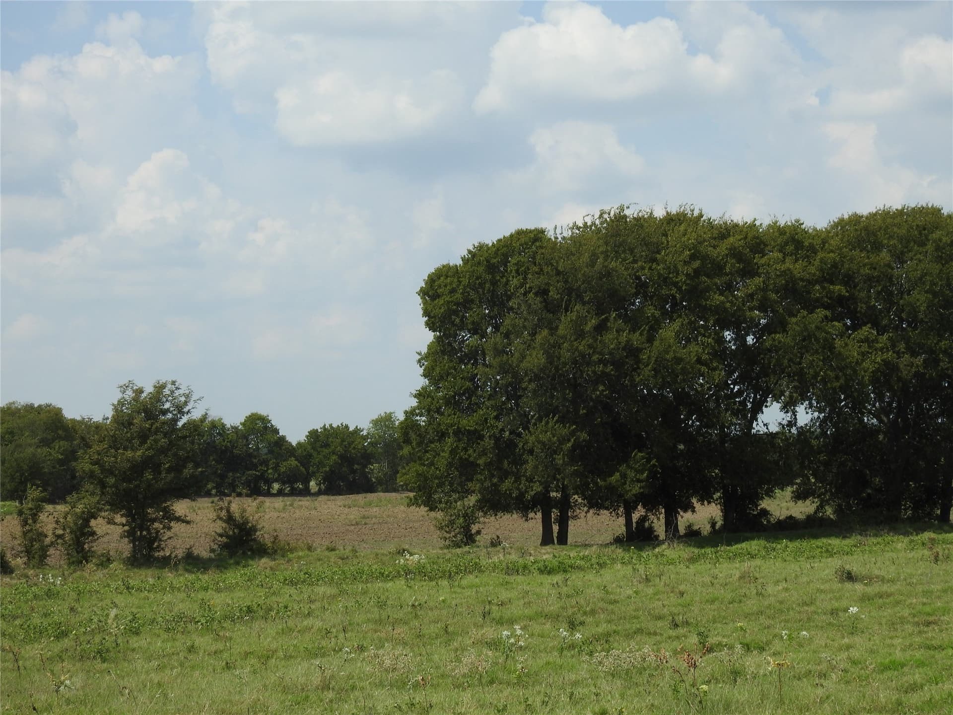 41.9 acres in Fannin County - photo 12