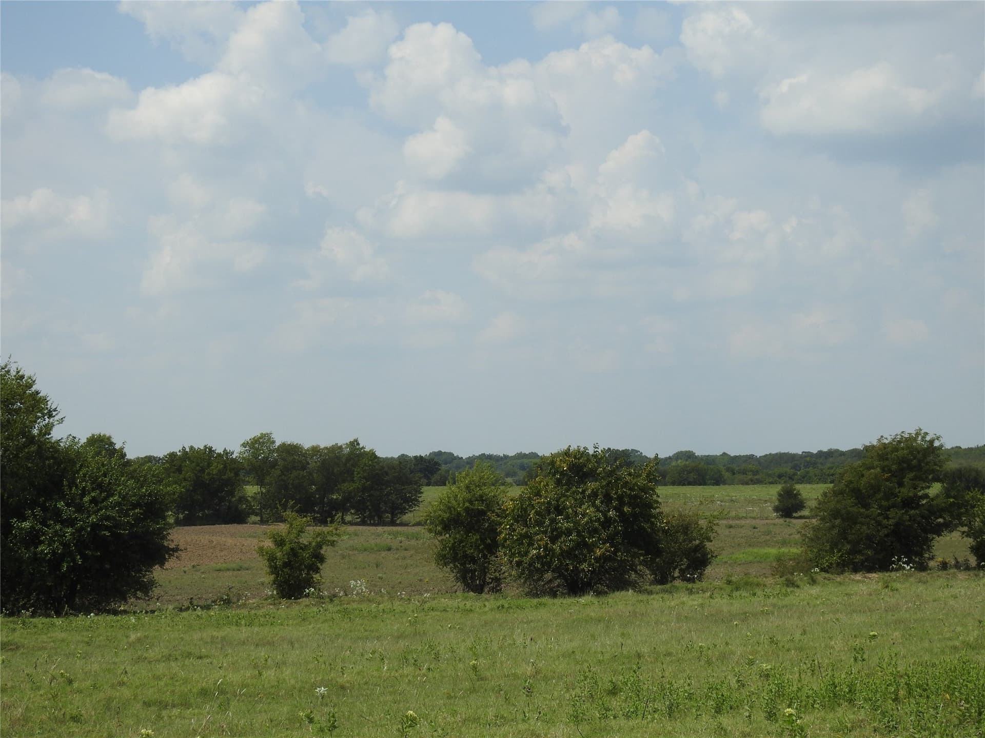 41.9 acres in Fannin County - photo 14