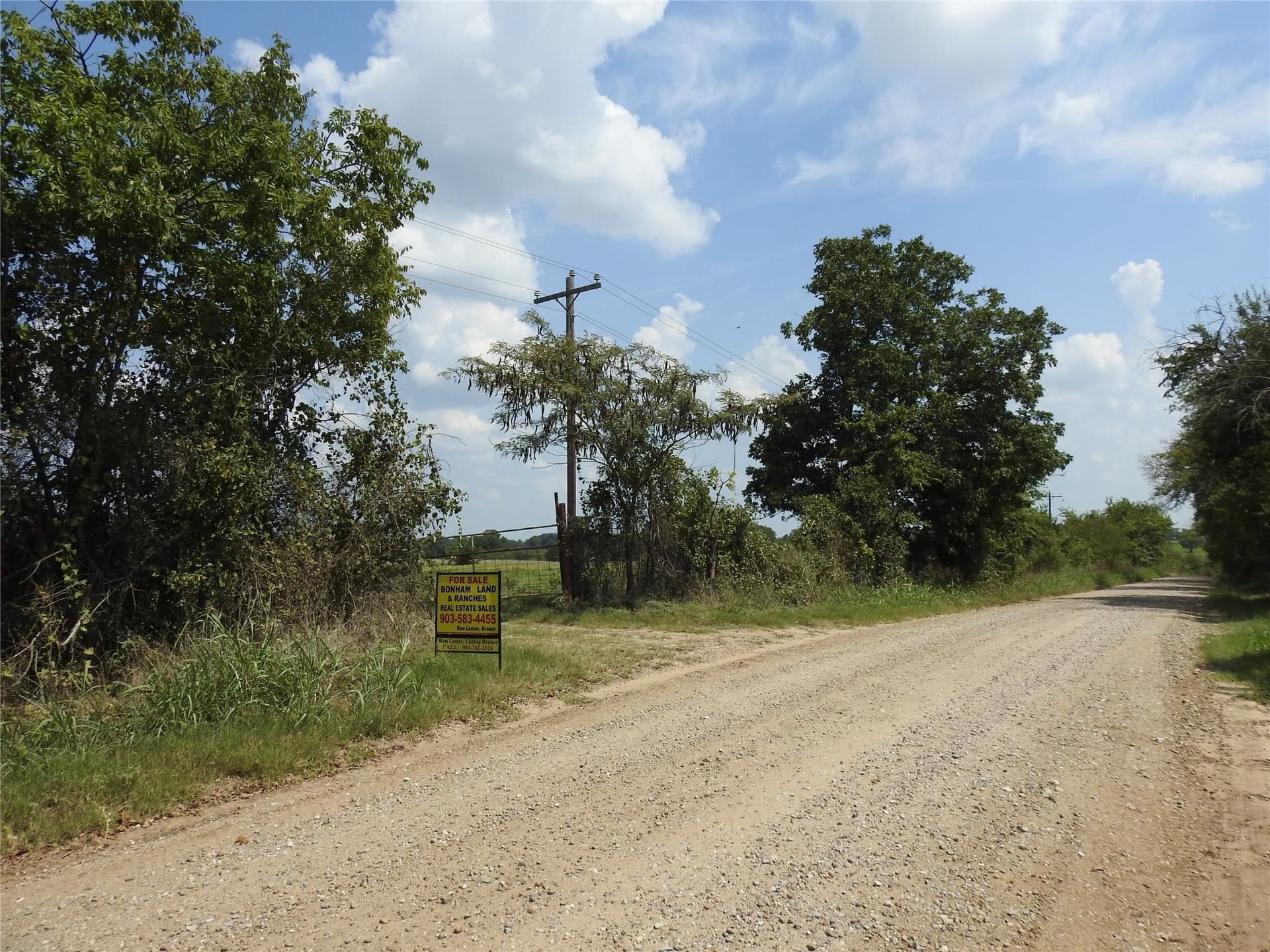41.9 acres in Fannin County - photo 2