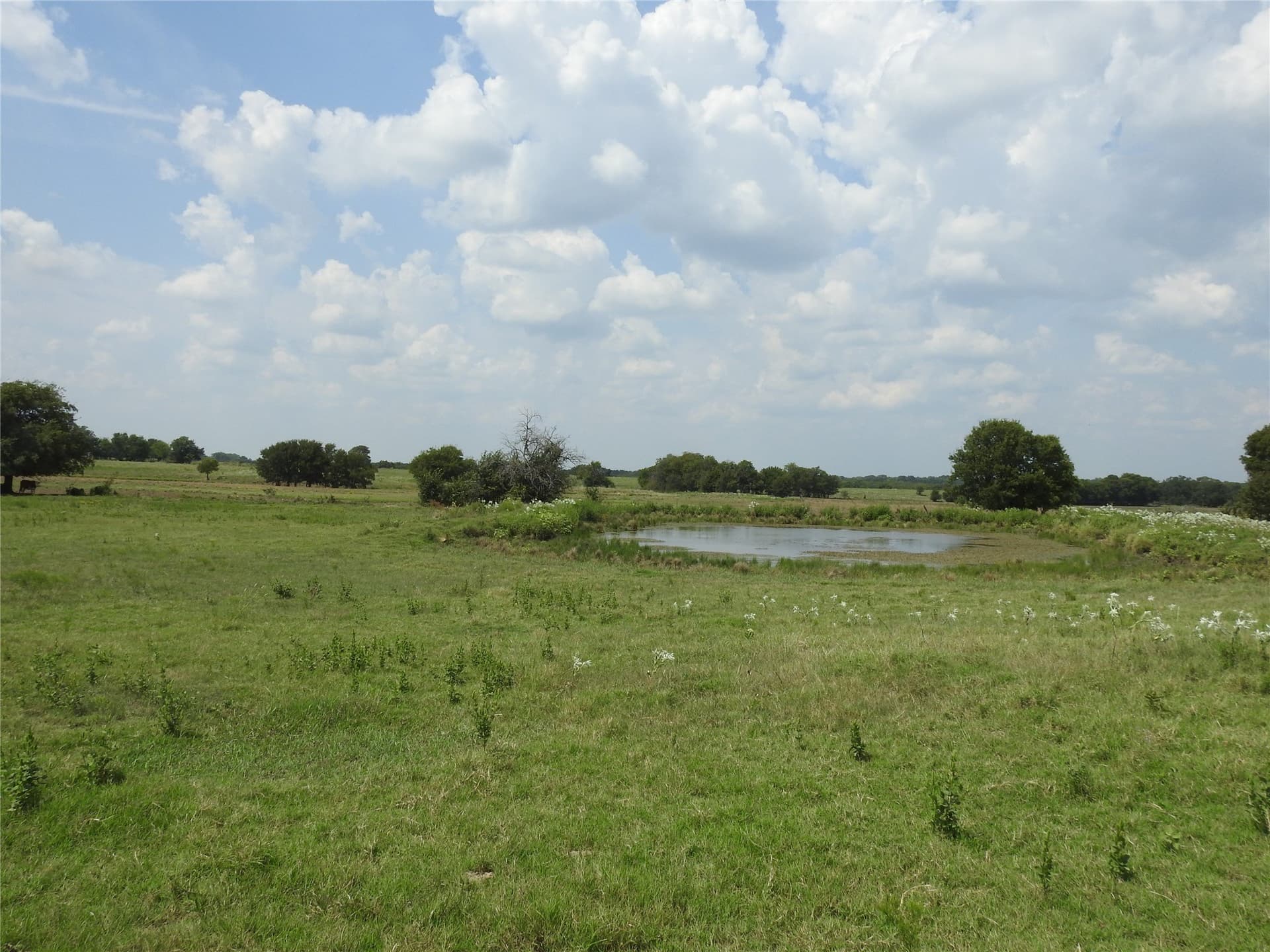 41.9 acres in Fannin County - photo 10