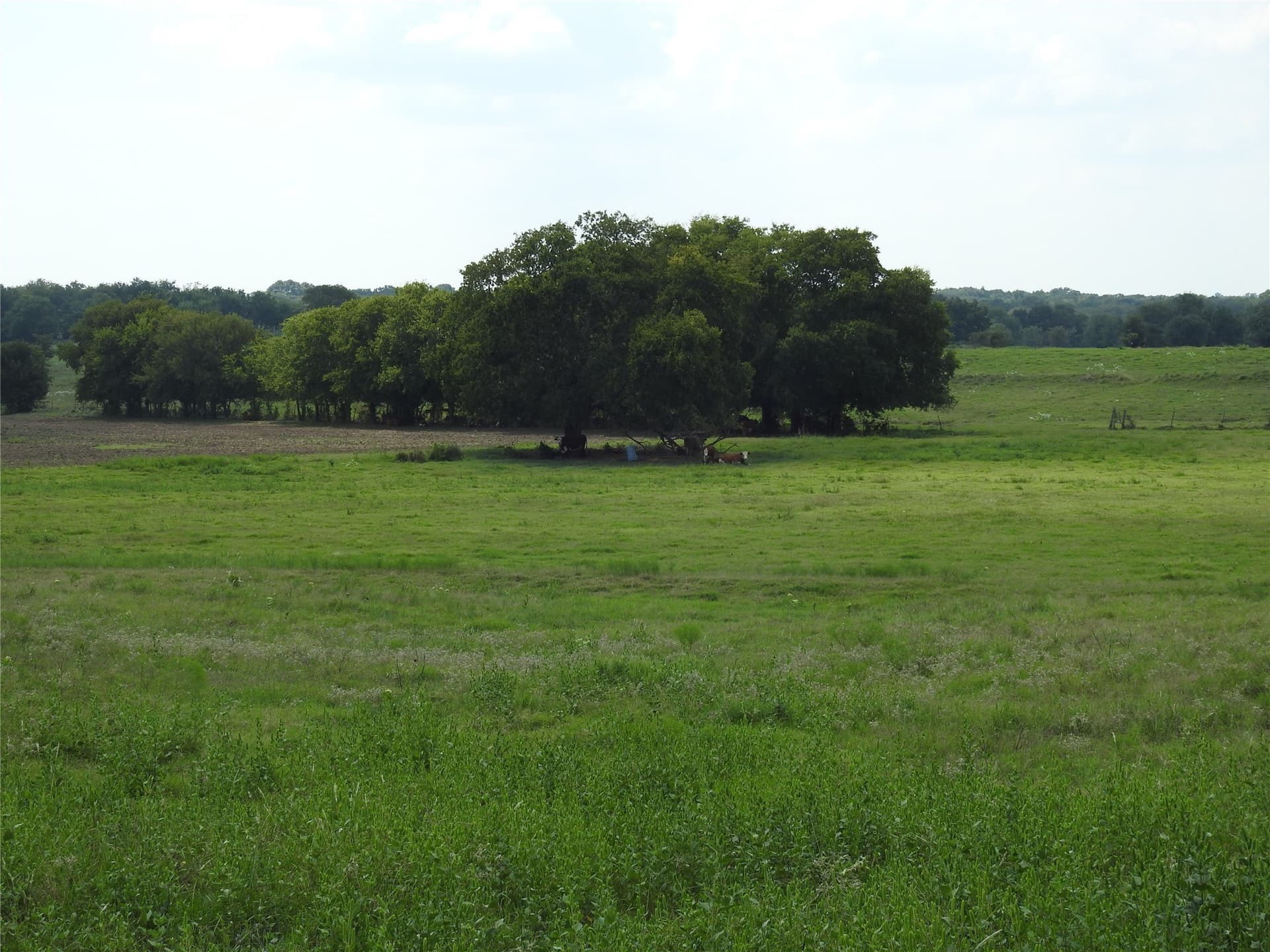 41.9 acres in Fannin County - photo 16
