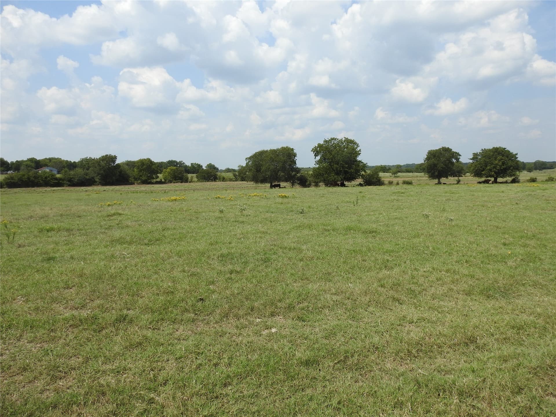 41.9 acres in Fannin County - photo 7