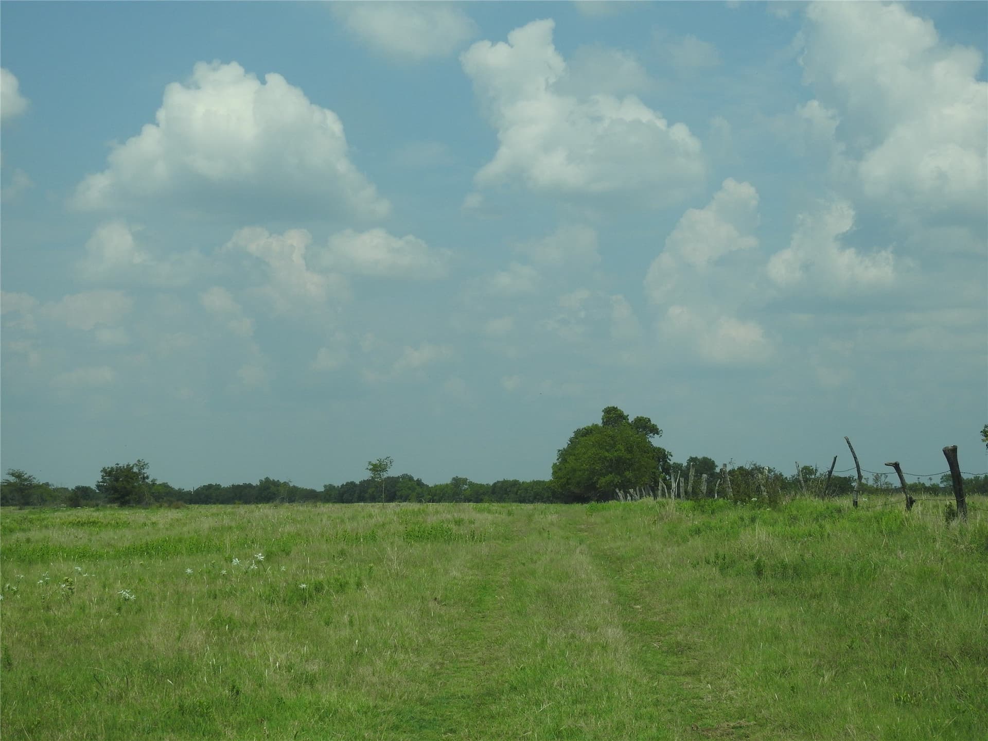 41.9 acres in Fannin County - photo 13