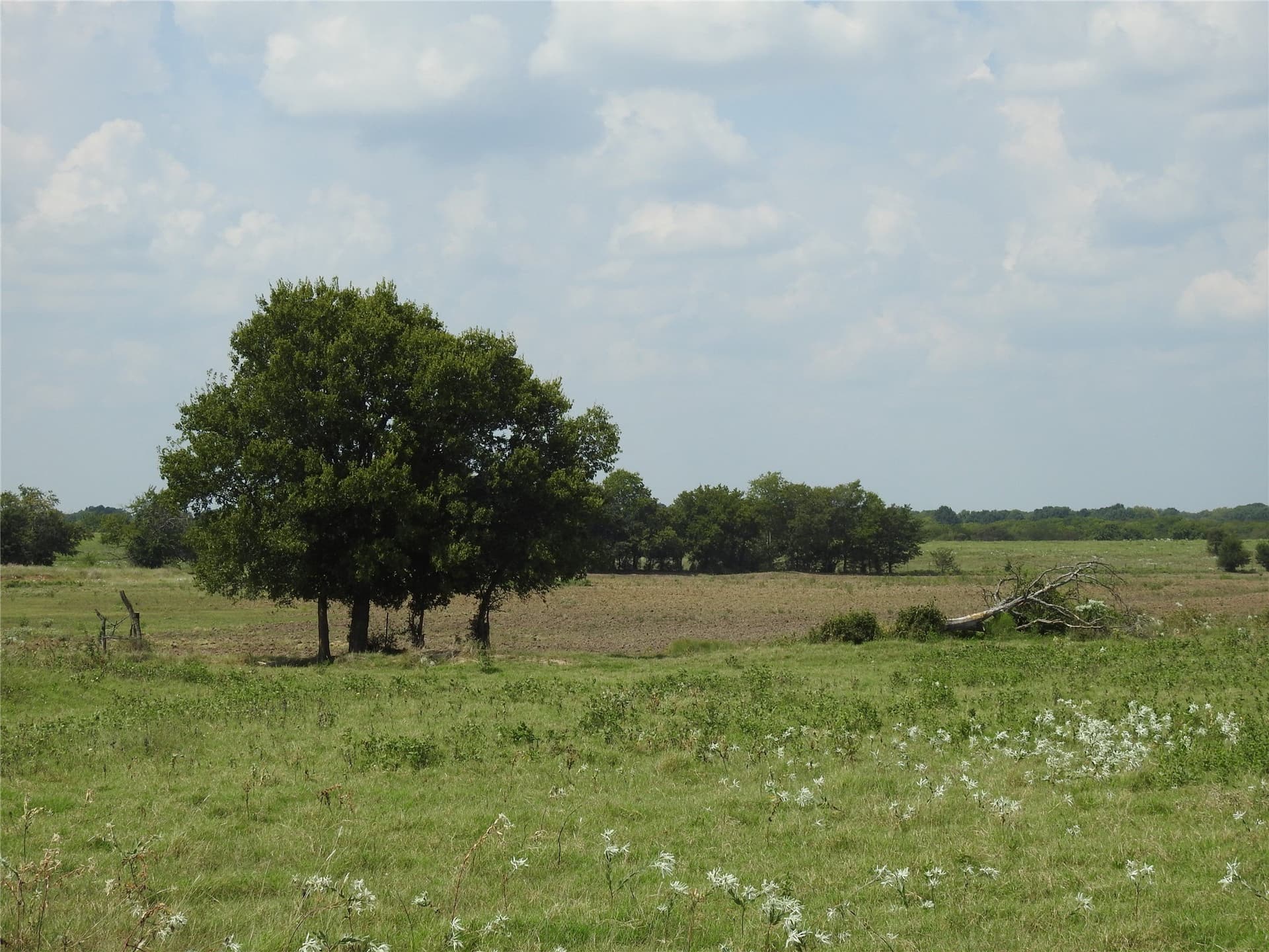 41.9 acres in Fannin County - photo 11