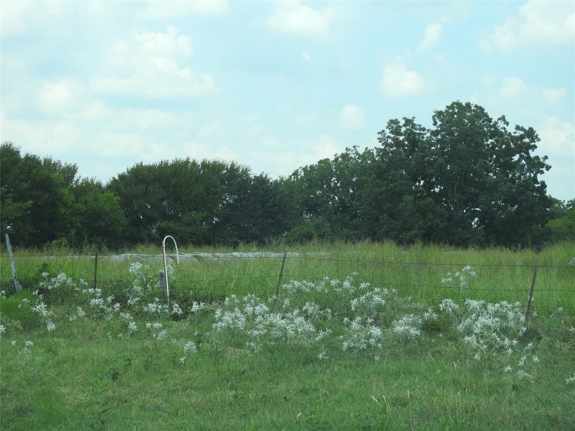 41.9 acres in Fannin County - photo 17