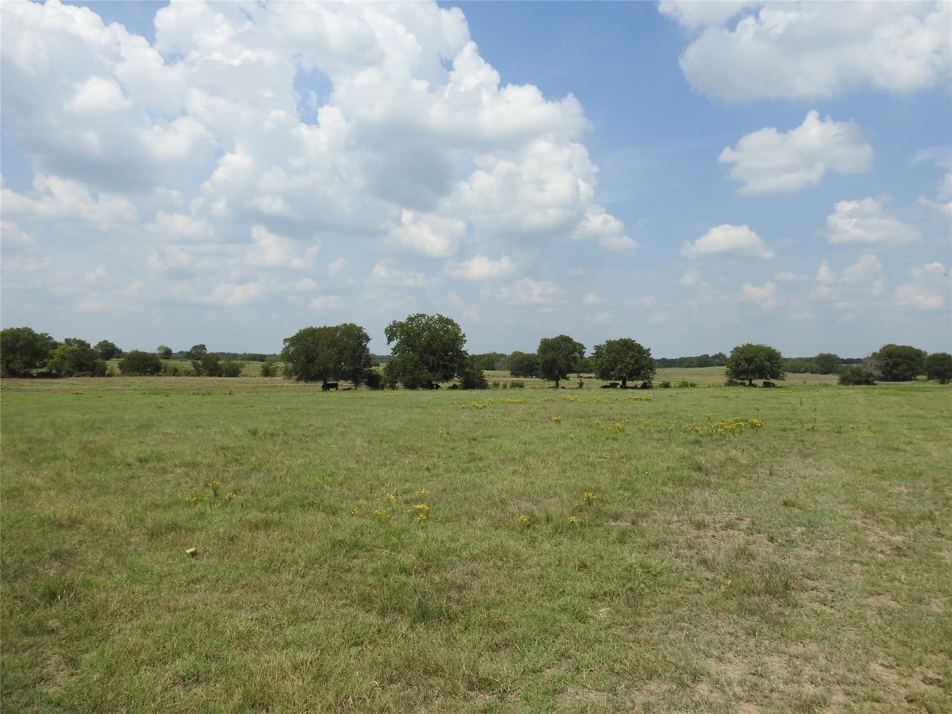 41.9 acres in Fannin County - photo 6