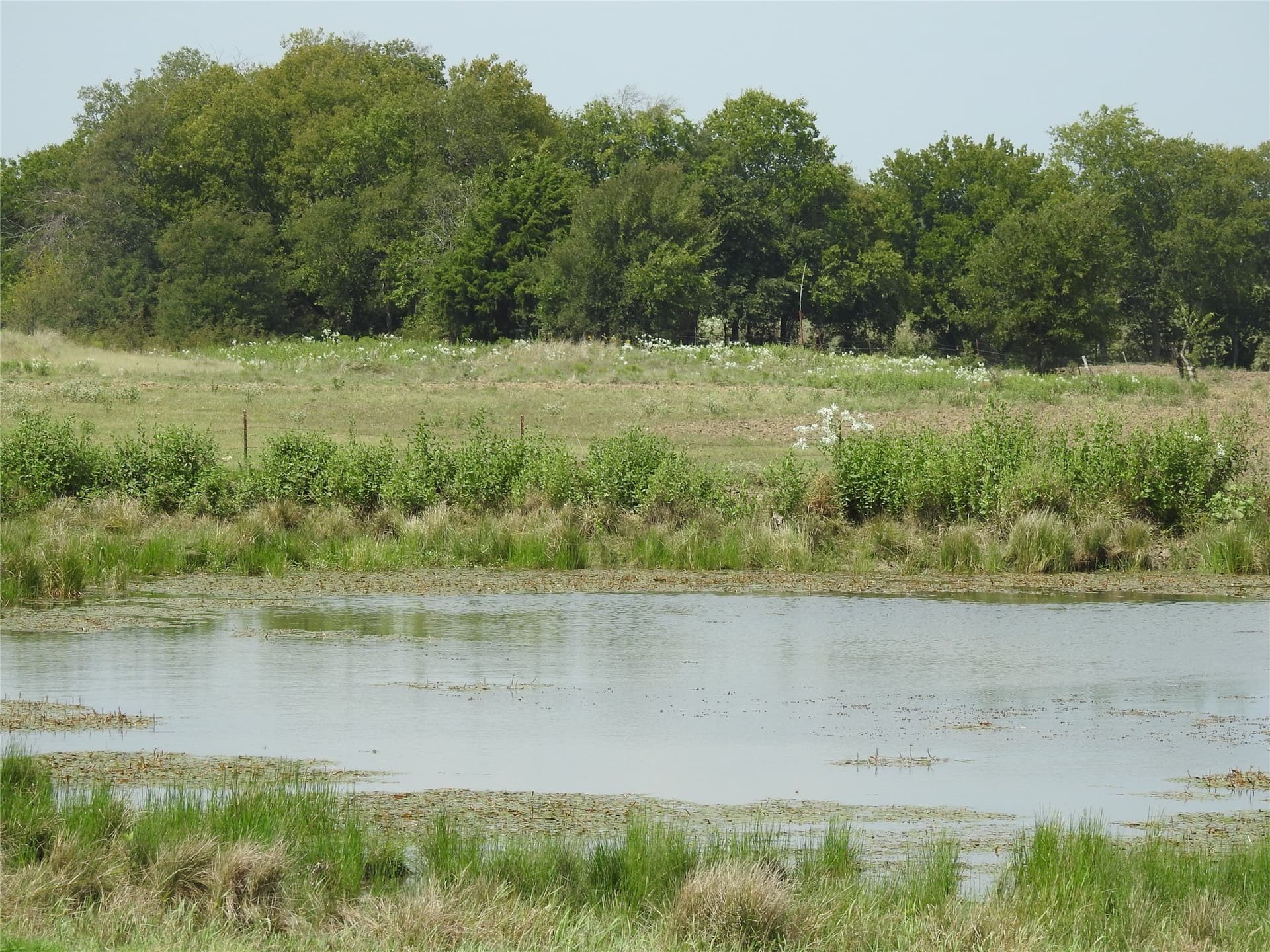 41.9 acres in Fannin County - photo 9