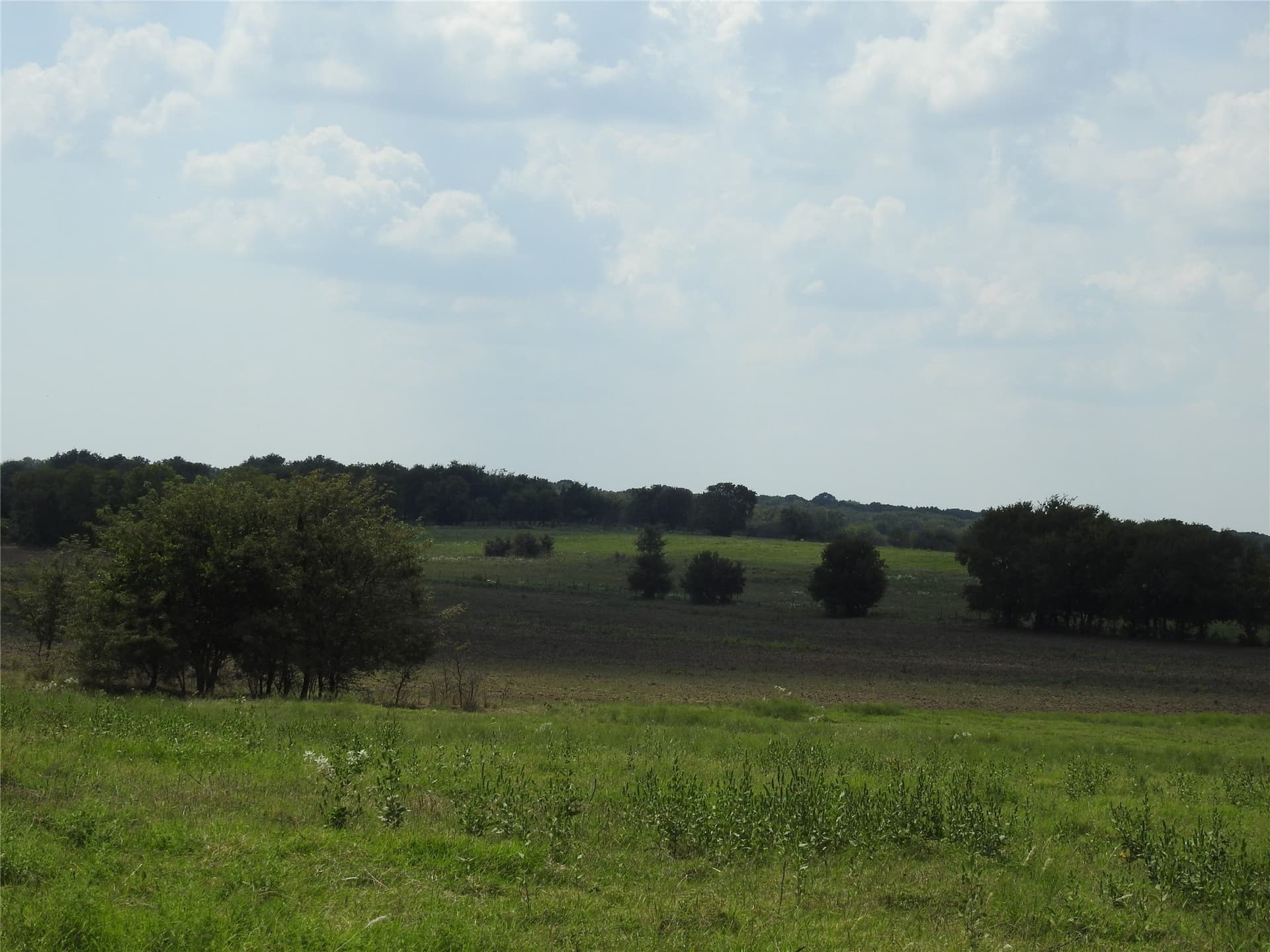 41.9 acres in Fannin County - photo 15