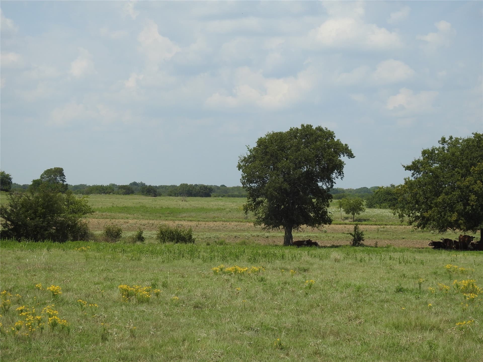 41.9 acres in Fannin County - photo 8