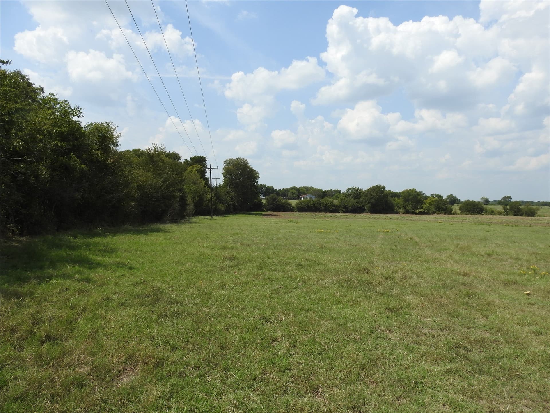 41.9 acres in Fannin County - photo 5