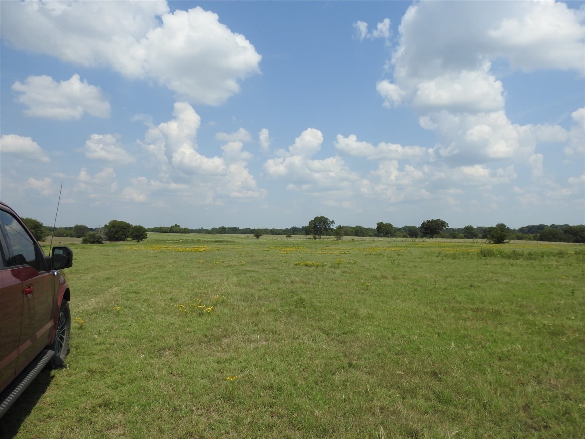41.9 acres in Fannin County - photo 4