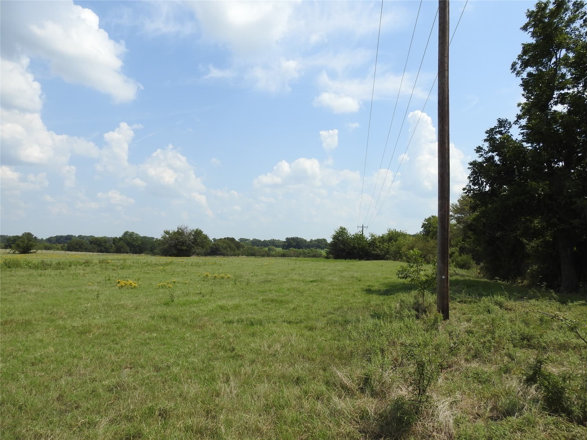 41.9 acres in Fannin County - photo 3