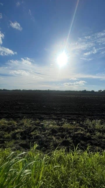11.82 acres in Nueces County gallery image 2