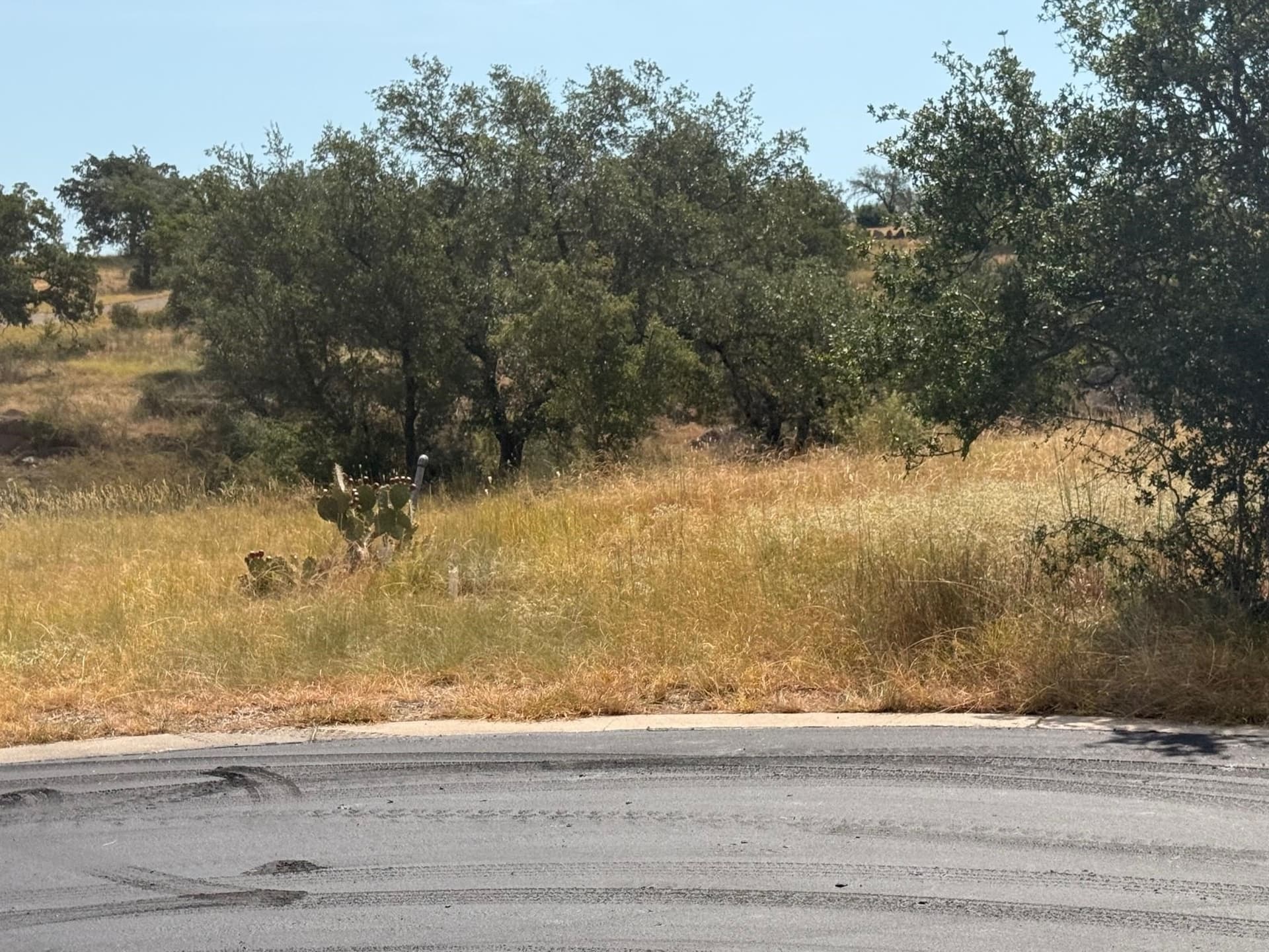 0.29 acres in Llano County gallery image 2