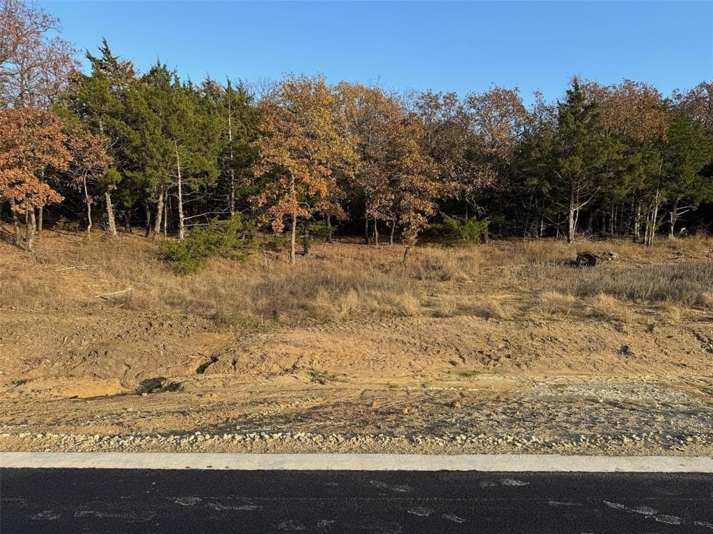 0.23 acres in Grayson County gallery image 2