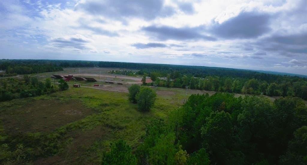 92.35 acres in Bowie County gallery image 4