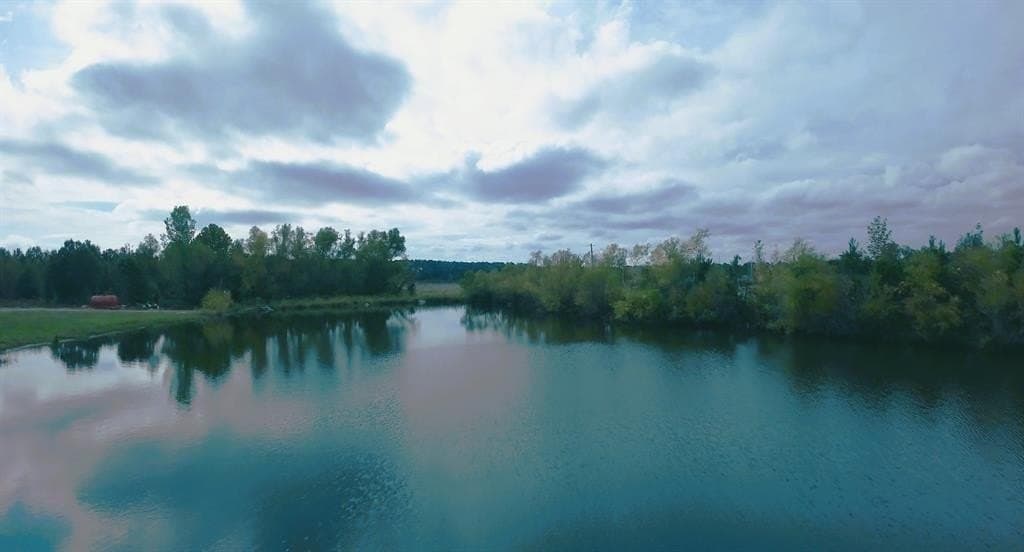 92.35 acres in Bowie County gallery image 3