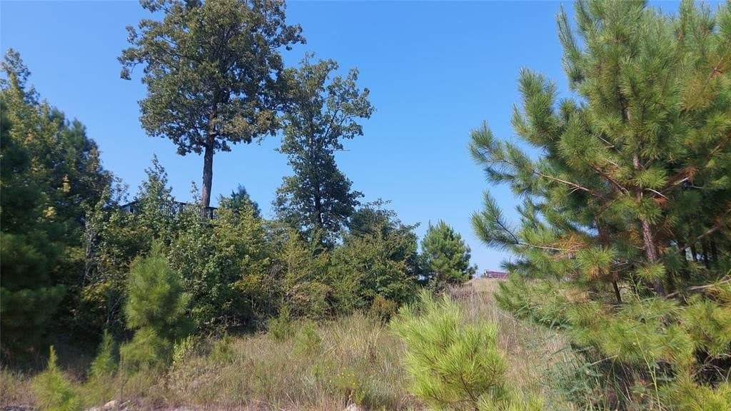 92.35 acres in Bowie County featured view