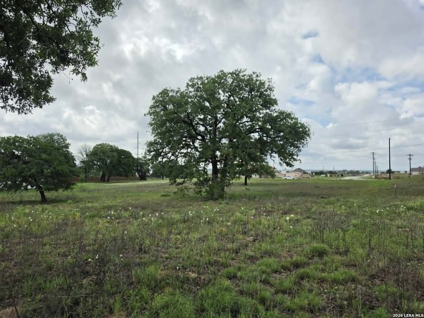 1.25 acres in Wilson County gallery image 4