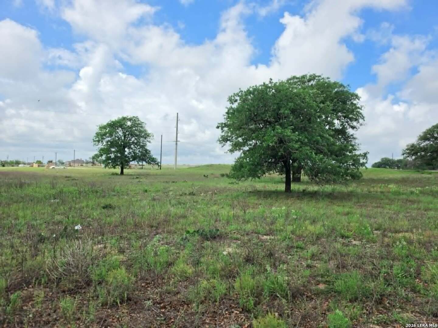 1.25 acres in Wilson County gallery image 2