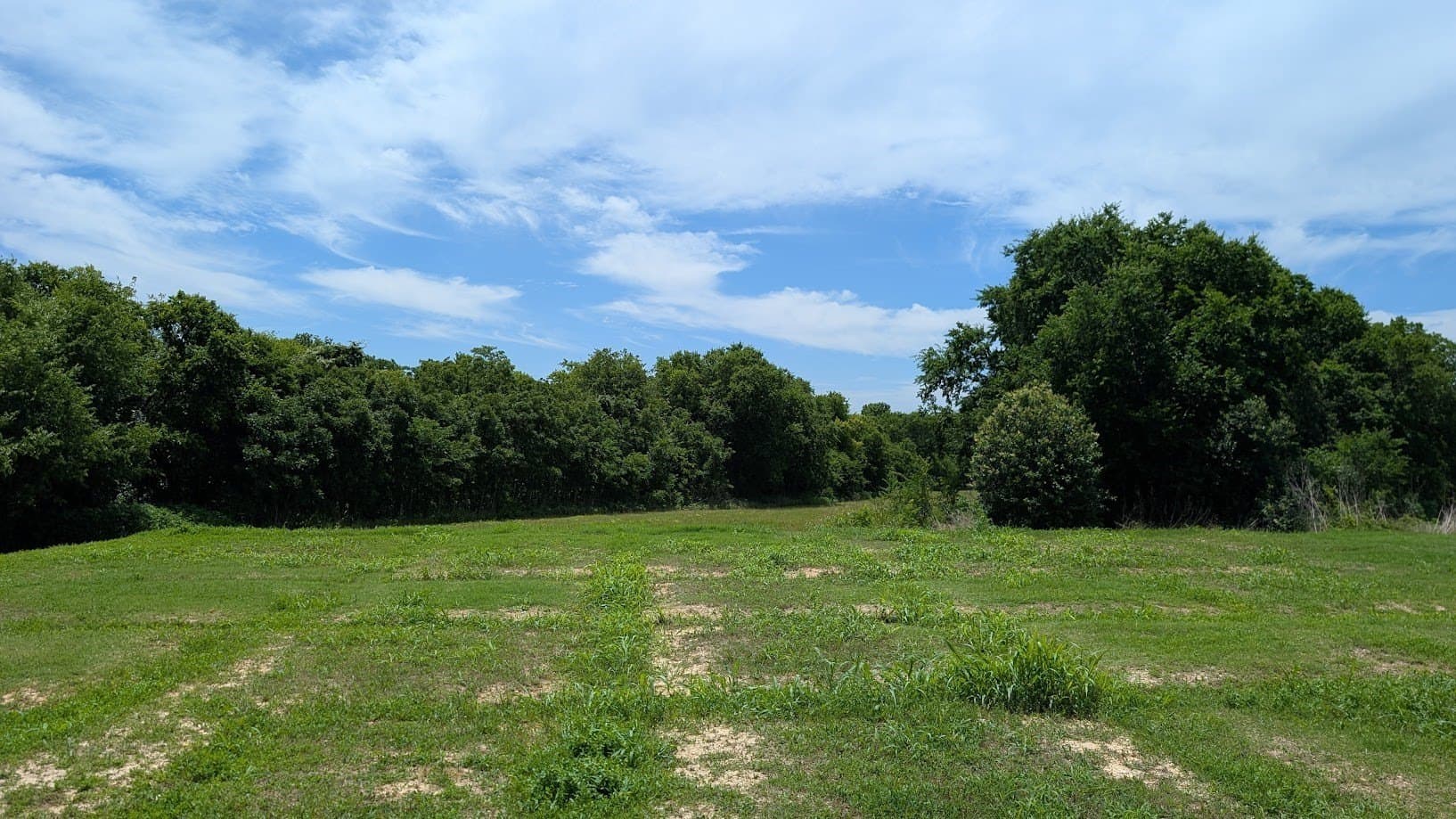 0.32 acres in McLennan County gallery image 3