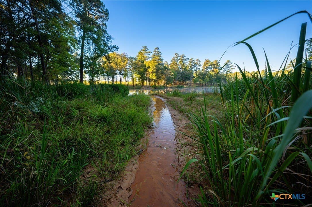 495 acres in Smith County gallery image 3