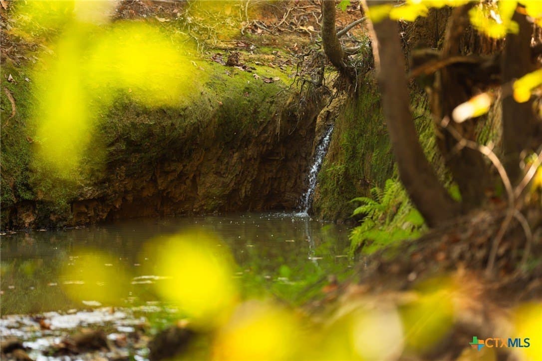 495 acres in Smith County - photo 12