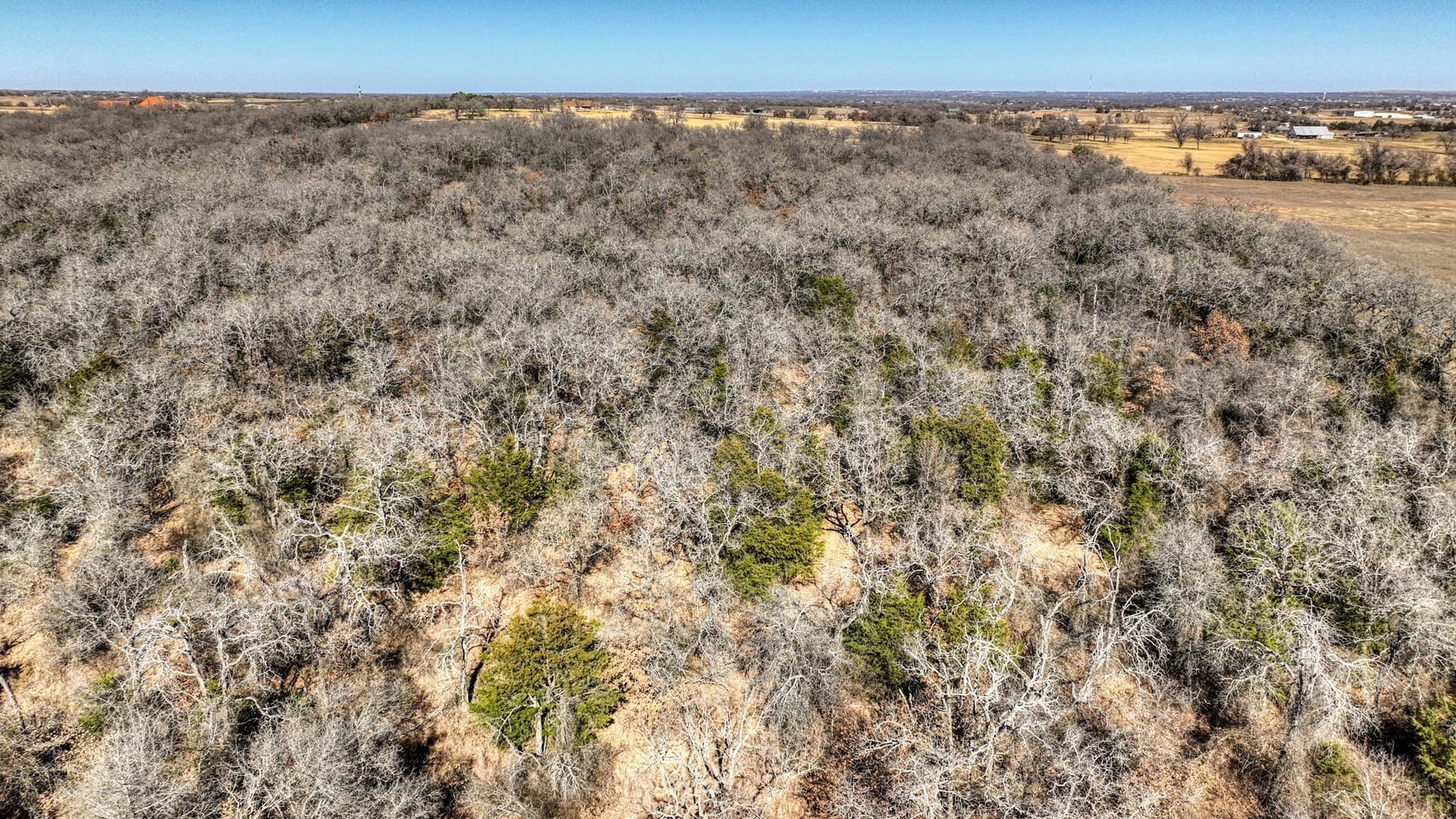 58.39 acres in Wise County - photo 16