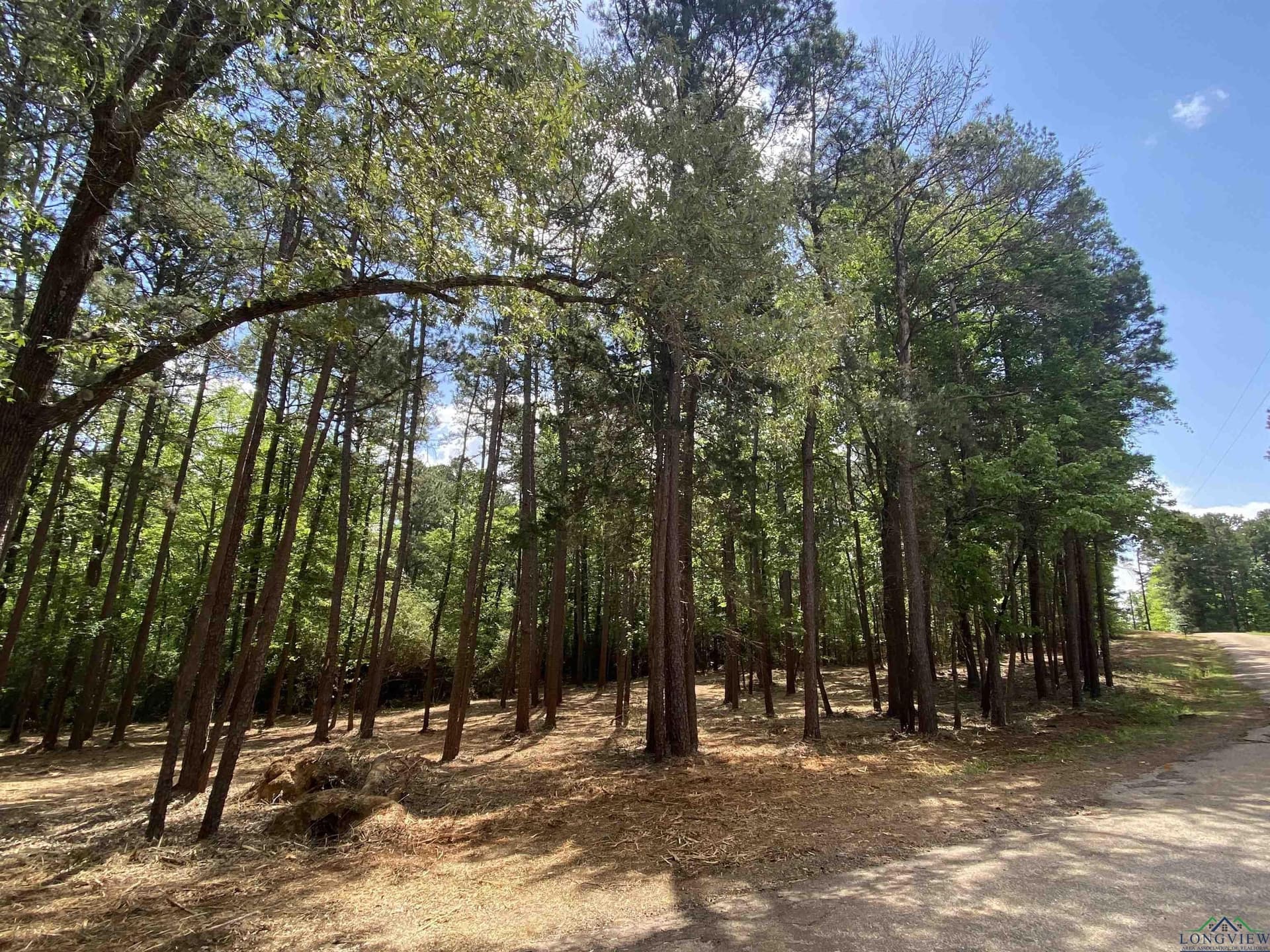 105.48 acres in Harrison County gallery image 4