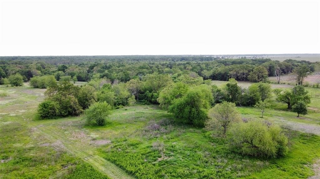 21.66 acres in Lamar County