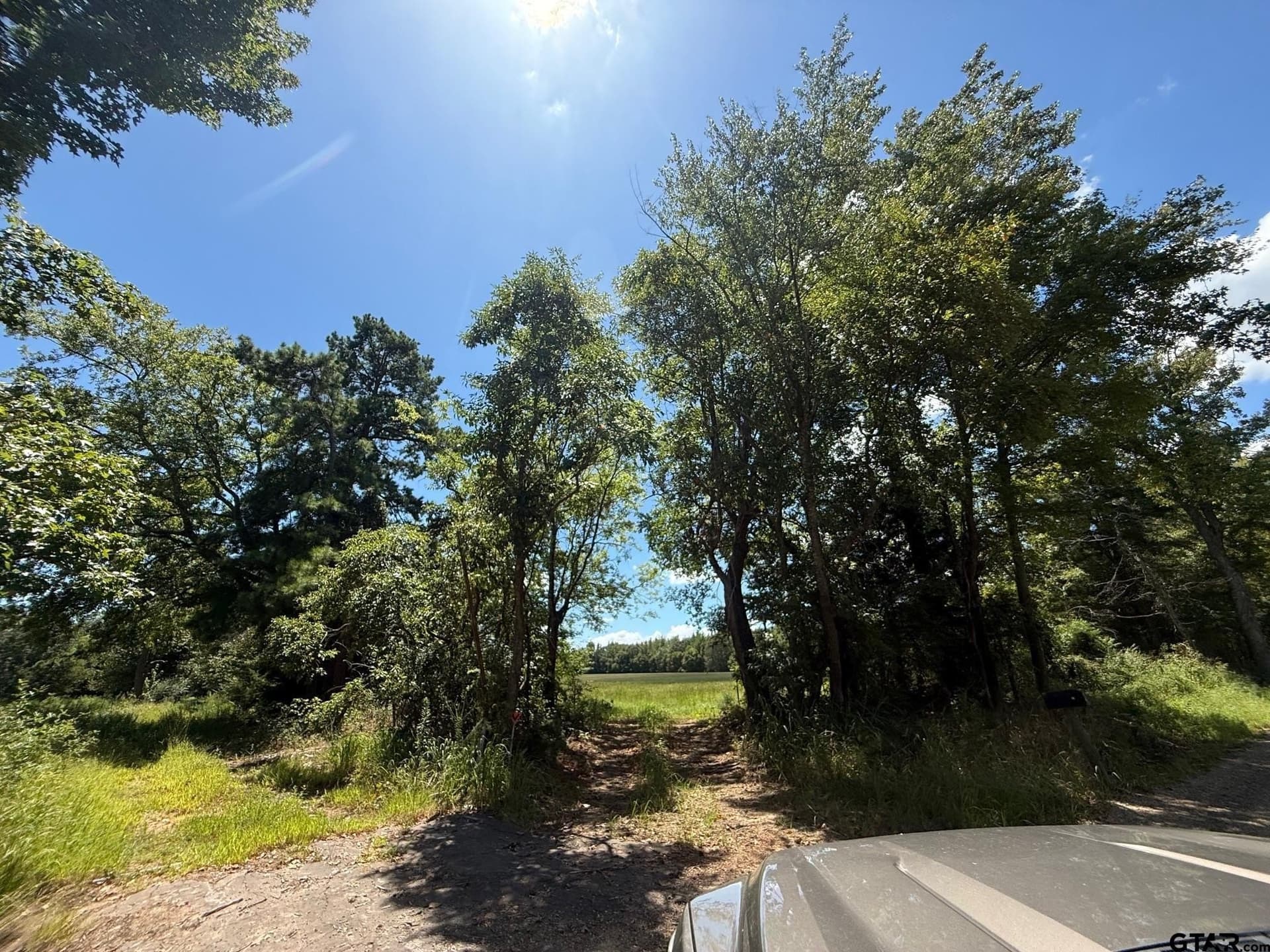 59.7 acres in Titus County featured view