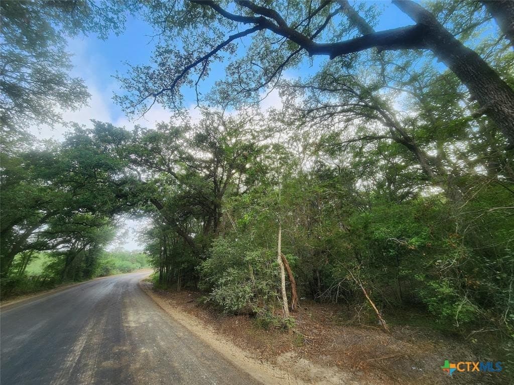 1.34 acres in Bastrop County - photo 6