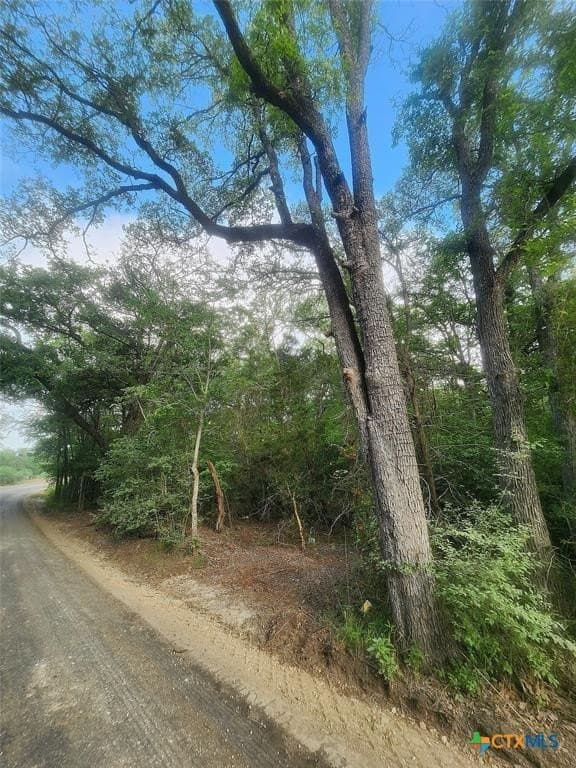 1.34 acres in Bastrop County - photo 8