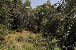 1.34 acres in Bastrop County - photo 14