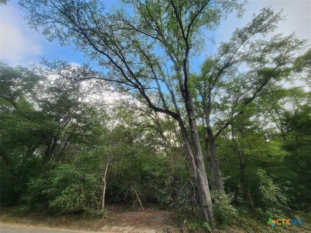 1.34 acres in Bastrop County - photo 9