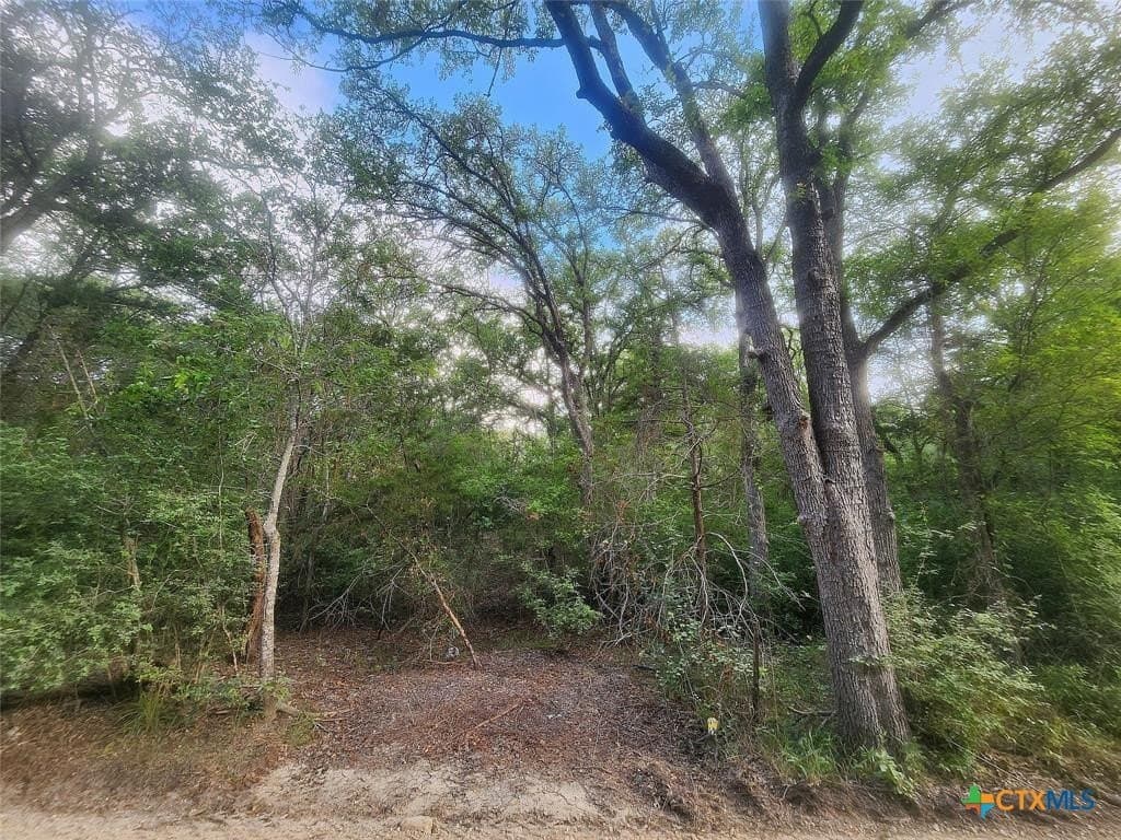 1.34 acres in Bastrop County - photo 3