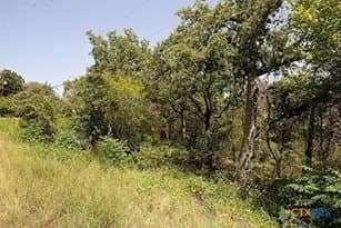 1.34 acres in Bastrop County - photo 11