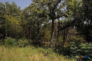 1.34 acres in Bastrop County - photo 7
