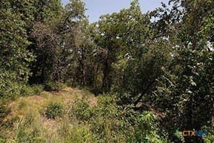 1.34 acres in Bastrop County - photo 10