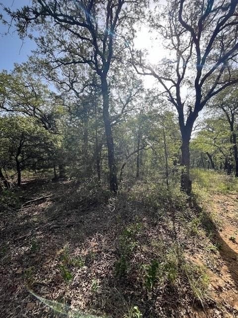 16 acres in Montague County - photo 5