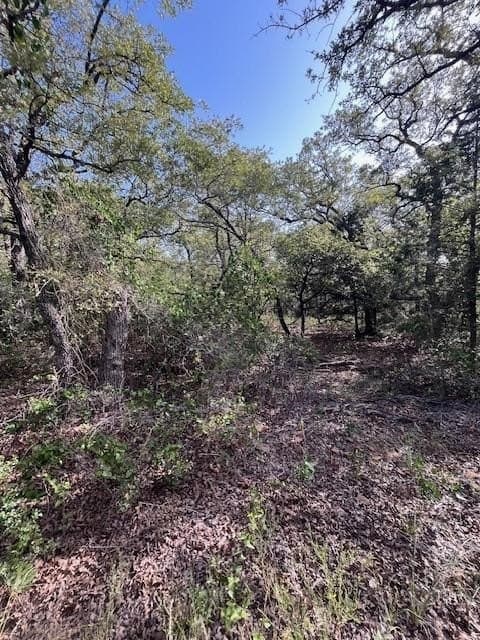 16 acres in Montague County - photo 4