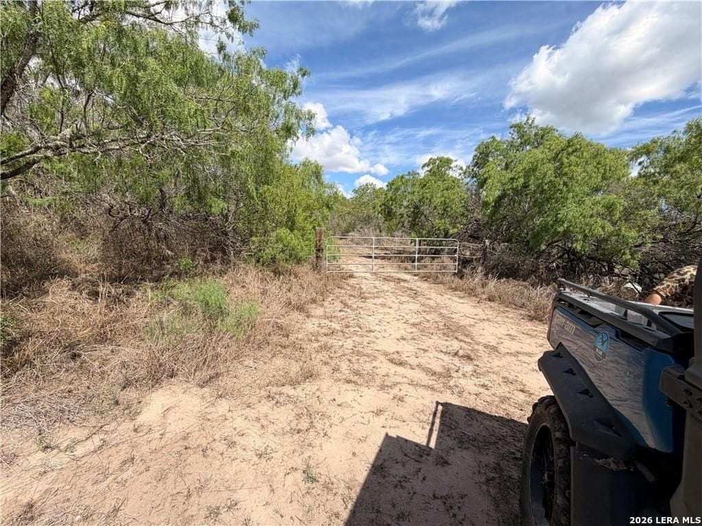 67 acres in Live Oak County - photo 21