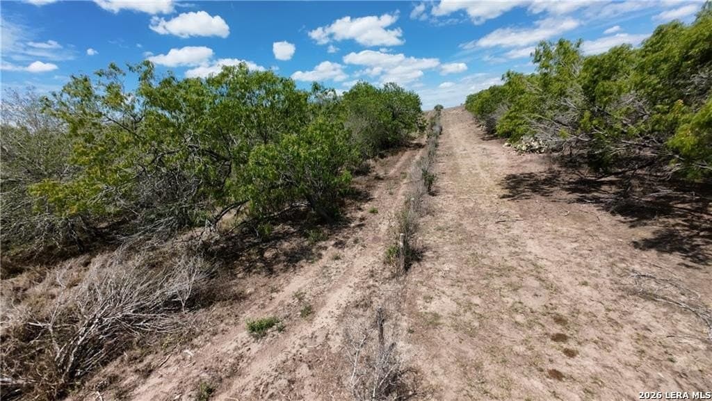 67 acres in Live Oak County - photo 17